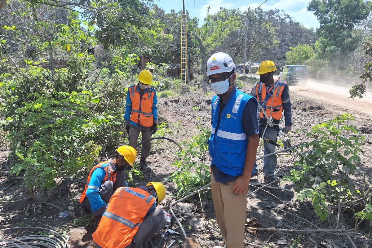 Erupsi Gunung Lewotobi, Listrik Menuju 503 Rumah Terdampak Masih Dipadamkan