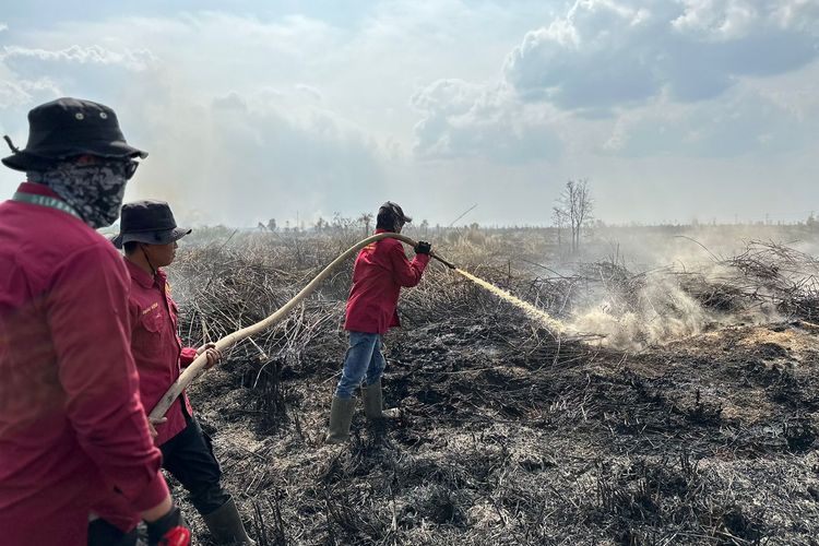 Pemadaman kebakaran lahan gambut di Sumatera Selatan oleh Masyarakat Peduli Api (MPA).

