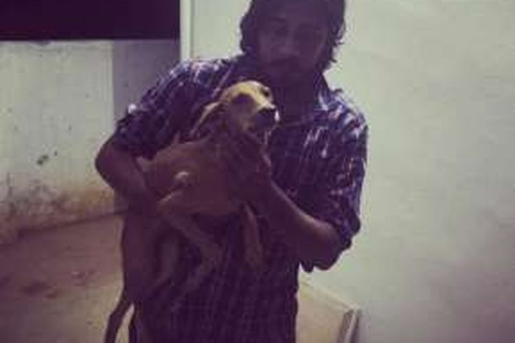 Aktivis Shravan Krishnan menggendong anjing malang yang dilempar dari atap rumah oleh dua mahasiswa kedokteran.