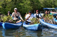 Nelayan di Bali Pamer Pemanfaatan Hutan Mangrove ke Delegasi KTT AIS Forum