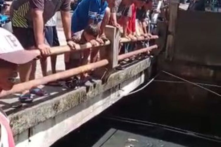 Warga dihebohkan dengan kemunculan sejumlah ekor ular di drainase Pasar Pandansari, Balikpapan