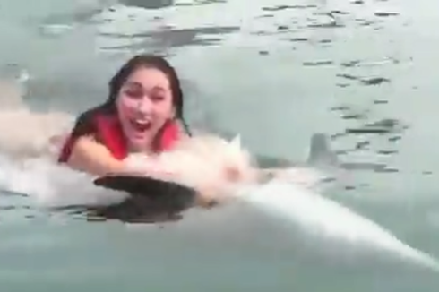 Buntut Video Viral Lucinta Luna, BKSDA Evakuasi 7 Lumba-lumba dari Dolphin Lodge Bali