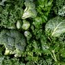 Perbedaan Sayuran yang Ditanam Tanpa Menggunakan Pestisida