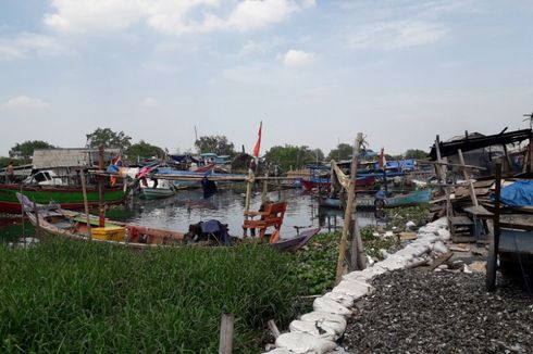Suara Nelayan Kerang Hijau di Utara Jakarta soal Reklamasi