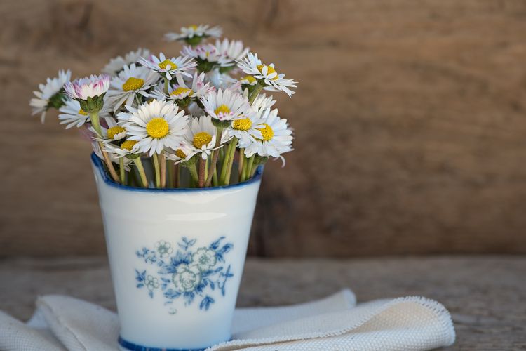 Gula pasir bisa digunakan mengawetkan bunga di dalam vas lebih lama. 