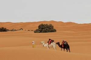 Ketika Penggembala Kambing Nyaris Bongkar Pangkalan Rahasia Israel di Gurun Irak...