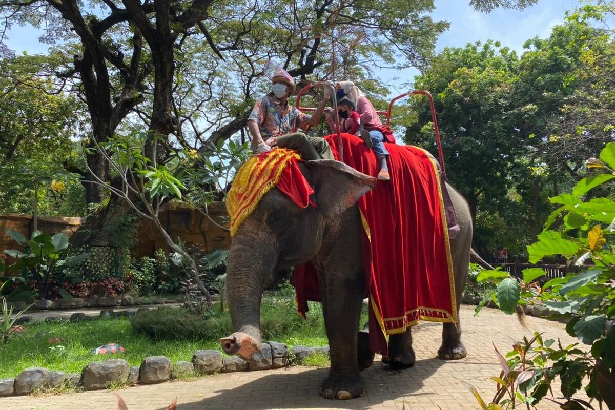 Kebun Binatang Surabaya