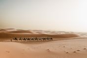 Juni 2026 Jadi Salah Satu Bulan Terpanas di Arab Saudi, Suhu Rata-rata Sentuh 32,2 Derajat Celsius