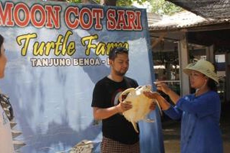 Wisatawan berfoto dengan penyu di Pulau Penyu, Tanjung Benoa, Bali.