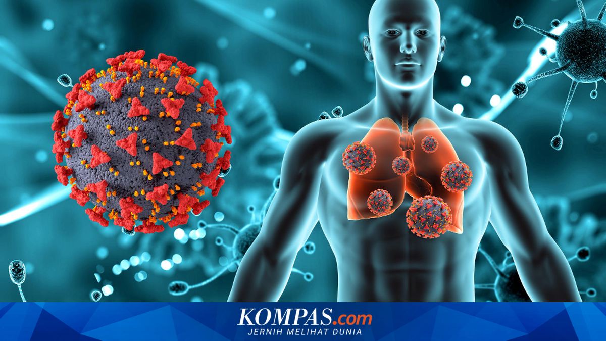 Gejala TBC Tak Langsung Muncul Usai Tertular, Ini Kata Dokter UGM

Klik untuk baca: