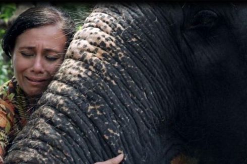 'Mereka Menyiksa Gajah-gajah Itu Lalu Meneteskan Air Mata Buaya'