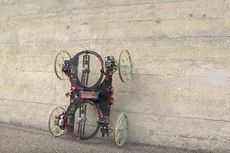Robot Ini Bisa Panjat Dinding Seperti Cicak