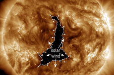 Lubang Raksasa Sebesar 60 Kali Bumi Muncul di Matahari