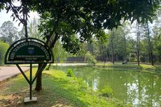 Taman Bambu di Jakarta Timur: Lokasi, Jam Buka, dan Fasilitas
