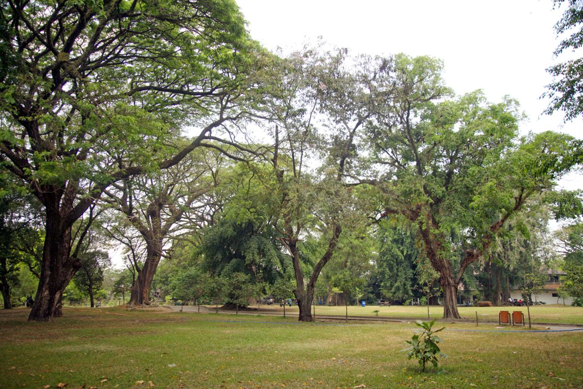 Ilustrasi Taman Balekambang, salah satu tempat wisata di Solo yang bisa dikunjungi secara virtual. 