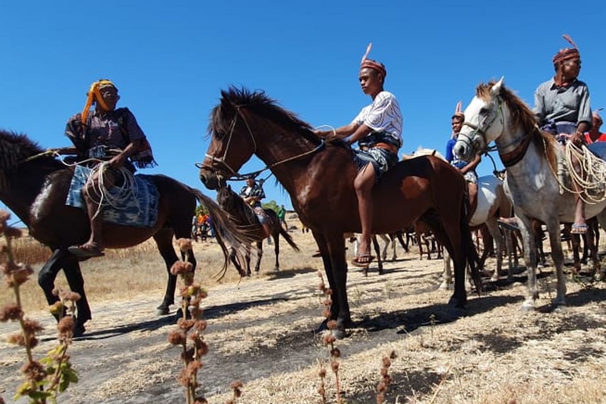 Parade Kuda Sandel digelar di Savannah Puru Kambera, Kanantang, Sumba Timur, Nusa Tenggara Timur, Jumat (12/7/2019)