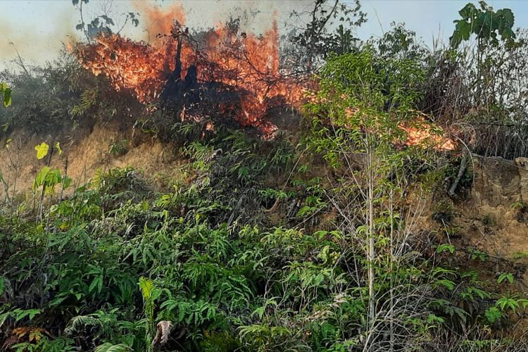 Kobaran api melahap lahan seluas 30 hektar di Kampung Labanan, Berau, Jumat (30/8/2018). 