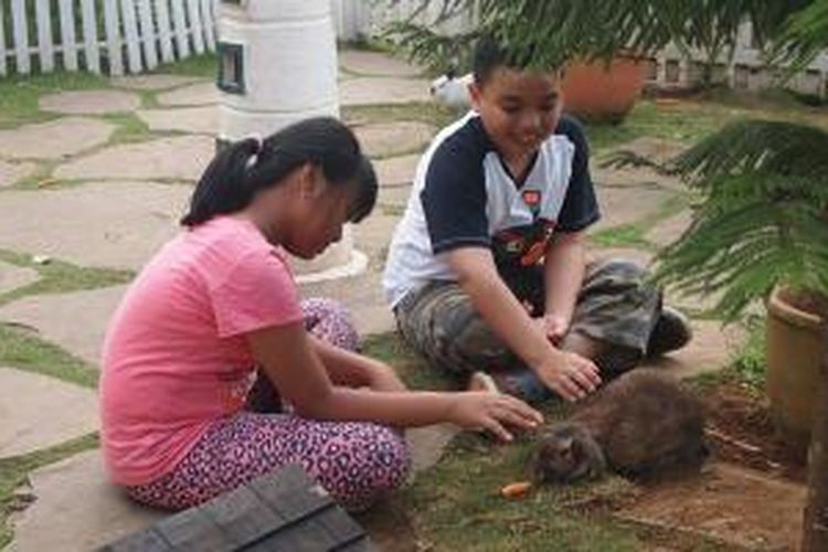 Rabbit Village menjadi salah satu fasilitas untuk anak yang ditawarkan Novus Giri Resort & Spa Puncak.