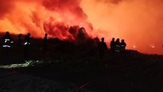 Kebakaran Hutan di Maluku Tengah Meluas, Tanaman Umur Panjang Warga Ikut Terbakar
