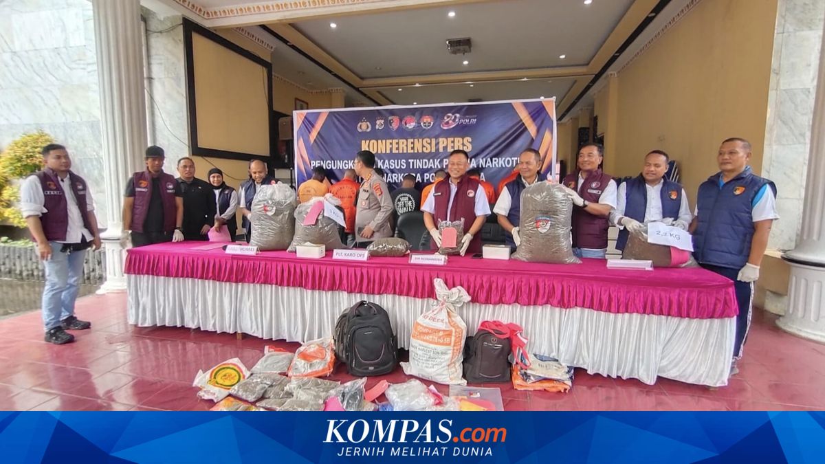 Polda Papua Sita 38,7 Kg Ganja Siap Edar, 151 Tersangka Diamankan Selama 6 Bulan