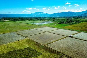 15 Negara dengan Lahan Pertanian Paling Luas, RI Tidak Masuk