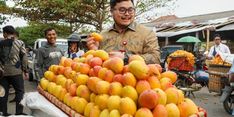 Agar Panen Lebih Berkualitas, Petani Mangga Podang Ikuti Pendampingan dari Pemkab Kediri