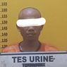 Bakar Lahan 1,5 Hektar untuk Perkebunan, Pria di Kuansing Ditangkap