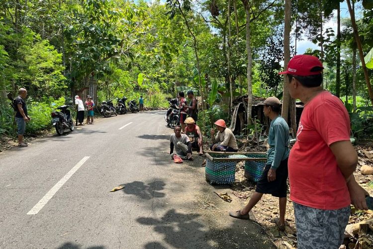 Warga Menunggu Mengantisipasi Serangan Monyet Ekor Panjang di Kalurahan Purwodadi, Kapanewon Tepus, Gunungkidul Selasa (29/3/2022)