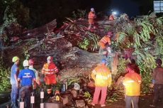 Jokowi Optimistis Asia Tenggara Bakal Lahirkan Perusahaan Unicorn, Ikuti Jejak Silicon Valley