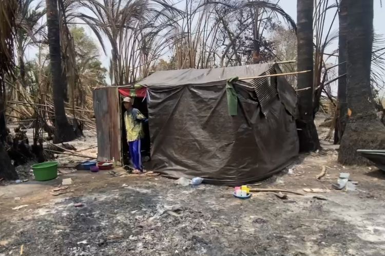 Rumah Ludes Dilalap Api Karhutla, Satu Keluarga di Banjar Kini Tinggal di Tenda Terpal
