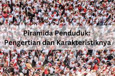 Piramida Penduduk: Pengertian dan Karakteristiknya