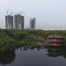 5 Wisata Hutan Mangrove di Indonesia, Mana yang Favorit?