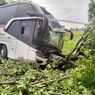 Sopir Pingsan, Bus Primajasa Nyelonong Tabrak Pohon di Jalur Pantura