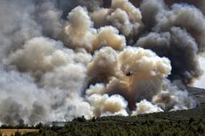 Kebakaran 2 Hutan Besar di Yunani, Suhu Capai 45 Derajat Celsius