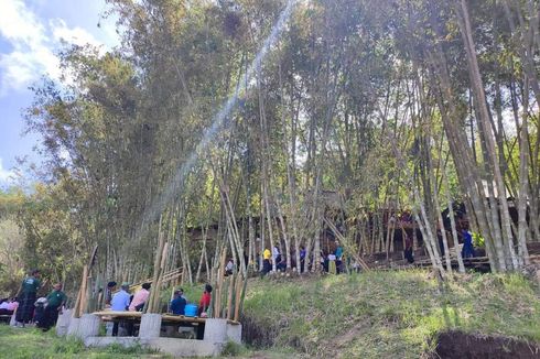 Bambu, Sahabat Spesial bagi Masyarakat Ngada di NTT