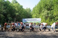 Tanam 20.000 Mangrove, Cara AHM Peringati Hari Lingkungan Hidup Sedunia