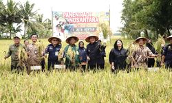 Jelang Ramadhan, Kementan Dorong Produksi Pangan dan Harga Gabah di Sumsel Tidak Turun