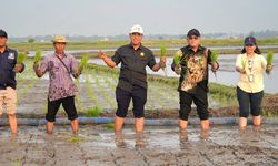 Program Pompanisasi Buat Petani Tersenyum, Mentan Amran: Solusi untuk Tingkatkan Indeks Pertanaman