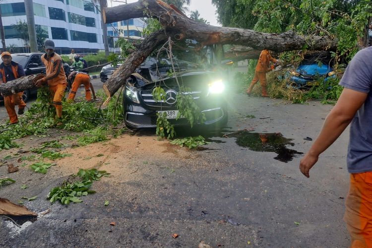 Pohon Tumbang Timpa Dua Mobil di Kelapa Gading Jakut, 2 Orang Terluka
