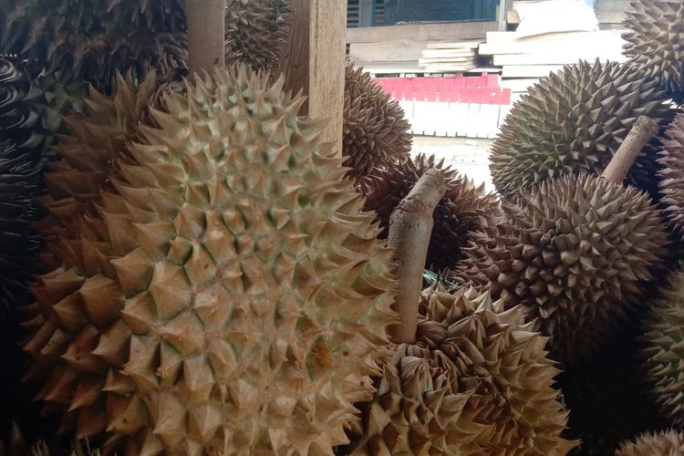 Kenapa Durian Dijuluki Raja Buah Halaman All Kompas Com