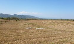 Kementan dan Pemda Magetan Gerak Cepat Atasi Kekeringan di Magetan