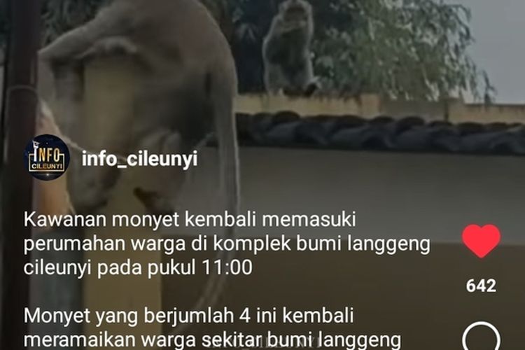 Kepala Sub Bagian Humas Balai Besar Konservasi Sumber Daya Alam (BBKSDA) Jawa Barat Halu Oleo angkat bicara soal kawanan monyet ekor panjang yang turun ke pemukiman warga di Komplek Bumi Langgeng, Desa Cimekar, Kecamatan Cileunyi, Kabupaten Bandung, Jawa Barat, pada Senin (12/12/2022) kemarin.