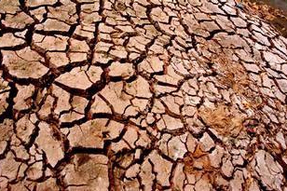 Di musim kemarau panjang tanaman dan rumput membutuhkan kelembaban lebih tinggi melalui penyiraman.