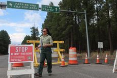 80.000 Hektar Lahan Dilalap Api, Arizona Tutup Hutan Nasional