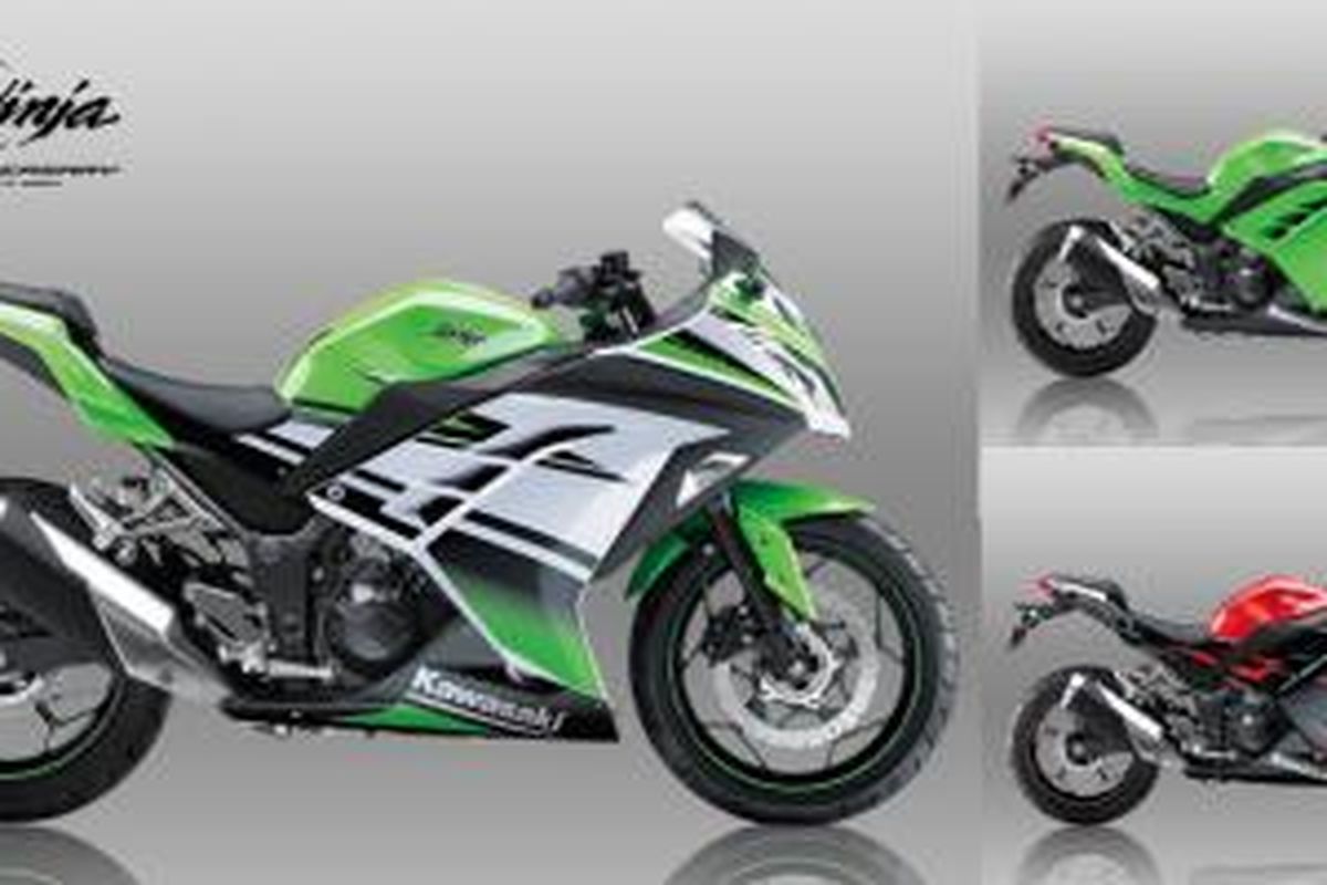 Kawasaki NInja 250 Series.