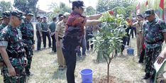 Hadapi Cuaca Panas, Wali Kota Semarang Galakkan Gerakan Penghijauan 