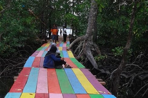 Berkat Hutan Mangrove, Nelayan dan Petani Kelapa di Maluku Utara Punya Penghasilan Tambahan