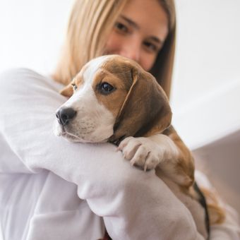 Memeluk bisa menjadi cara meredakan ketakutan dan kecemasan pada anjing peliharaan