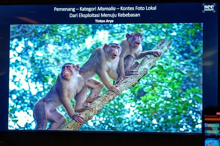 foto berjudul Dari Eksploitasi Menuju Kebebasan karya Tinton Aryo yang dipamerkan di Senayan City