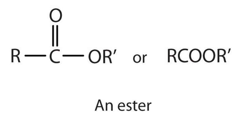 Gugus fungsi ester